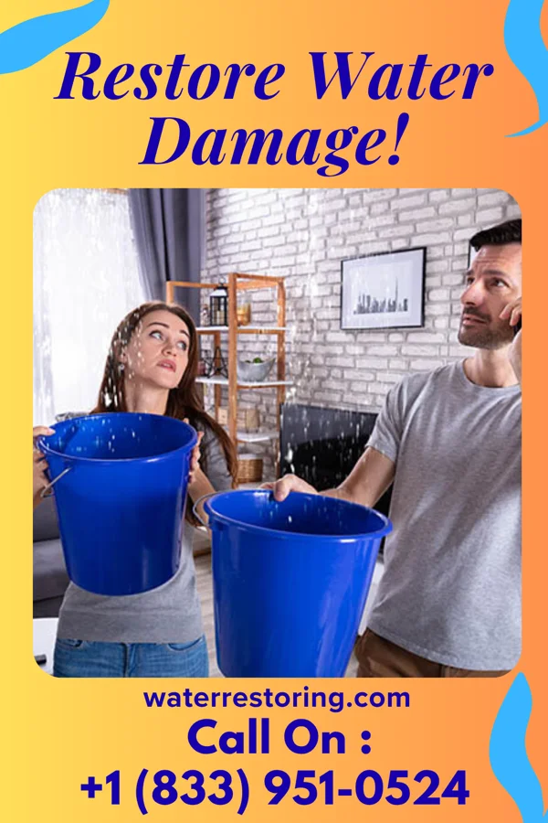 water restoration Pro Disaster Cleanup Experts Garland