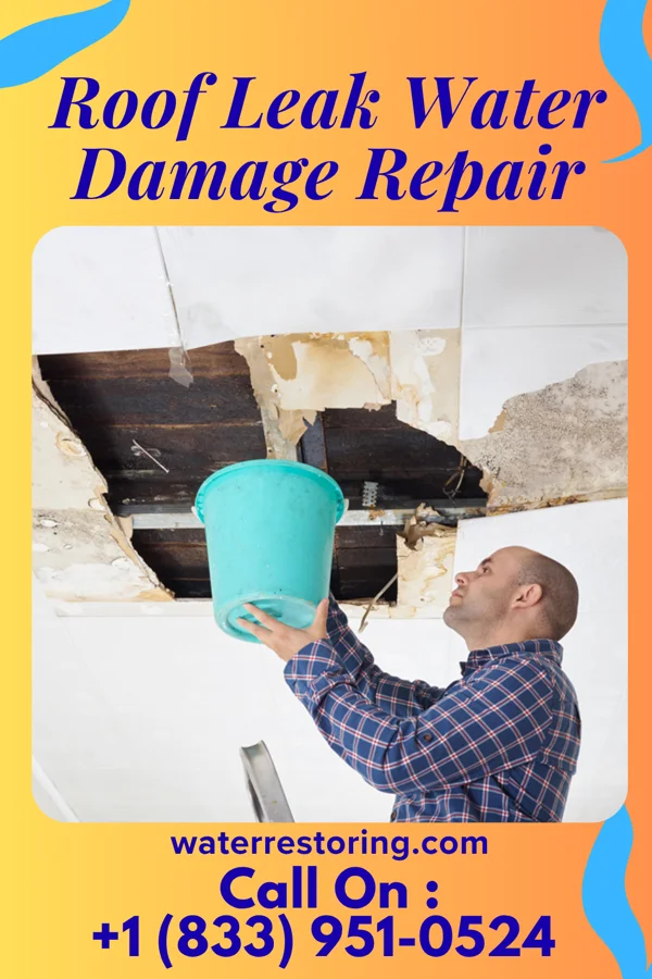 Roof Leak Water Damage Repair in Garland, WY