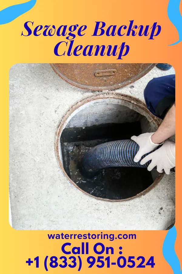 Sewage Backup Cleanup in Garland, WY